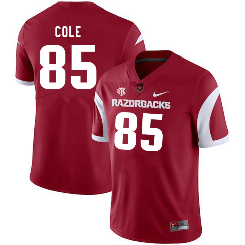 Men #85 Harper Cole Arkansas Razorbacks College Football Jerseys Sale-Cardinal